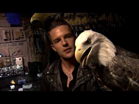 The Killers — Full Amex UNSTAGED Show video thumbnail
